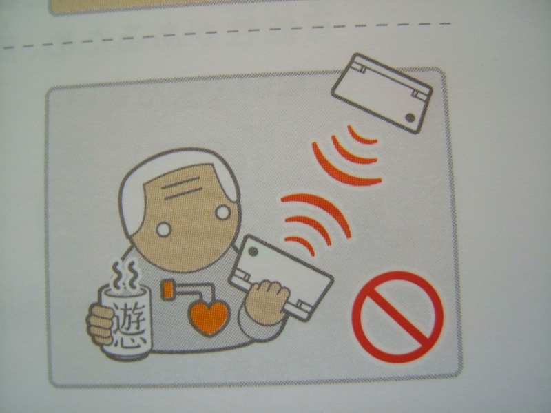 Illustration for article titled Hey Dummy, Don't Microwave The DSi (And Other Nintendo Tips)